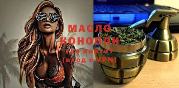 индика Арсеньев