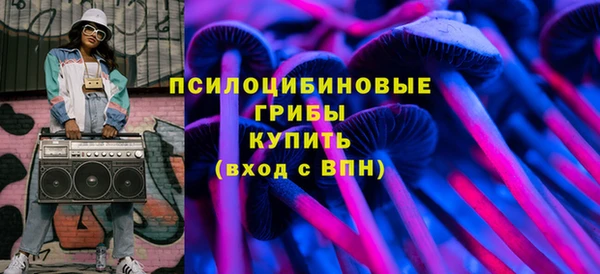 индика Арсеньев