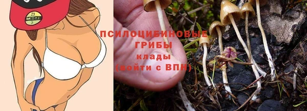 индика Арсеньев
