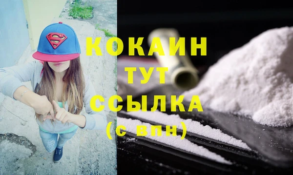 индика Арсеньев